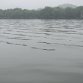 IMG_5581.JPG